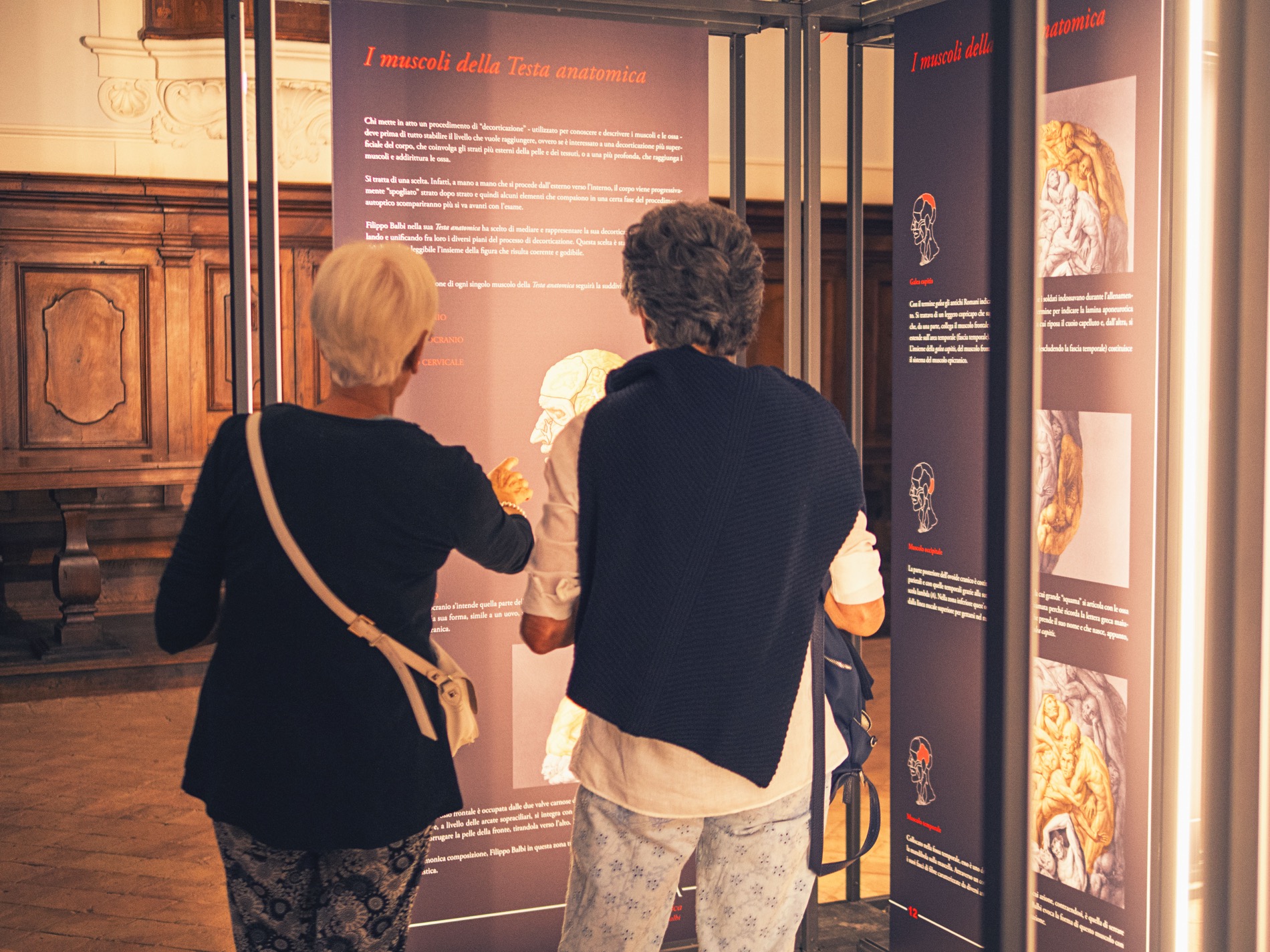 Due visitatrici davanti al pannello sui muscoli della Testa anatomica