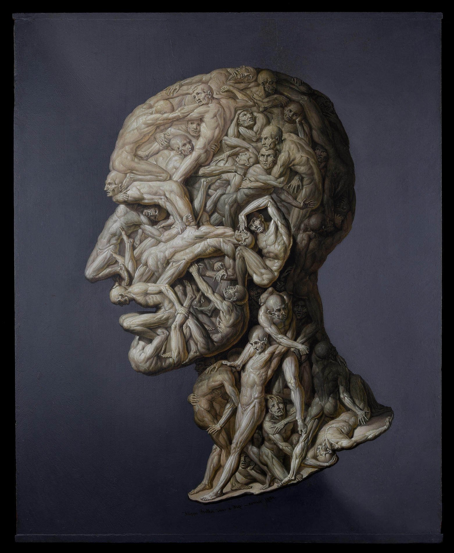 La Testa anatomica di Filippo Balbi, 1854, dopo il restauro